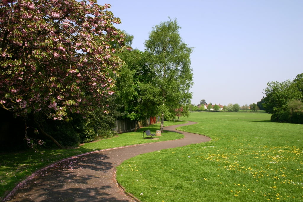 Bowring Recreation Ground Wellingtons War